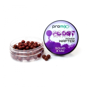 Promix Goost Power Wafter 8mm - SQUID
