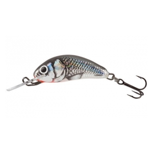 Salmo Wobler Hornet Sinking 2,5 cm HOLOGRAPHIC GREY SHINER 